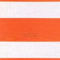: zebra-kristall-orange