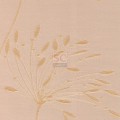    : fennel-9-beige