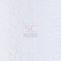    : sfera-b-o-belaya